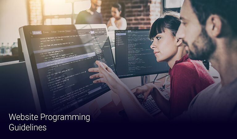 Milestone’s Top 10 Website Programming Guidelines